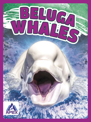 cover image of Beluga Whales